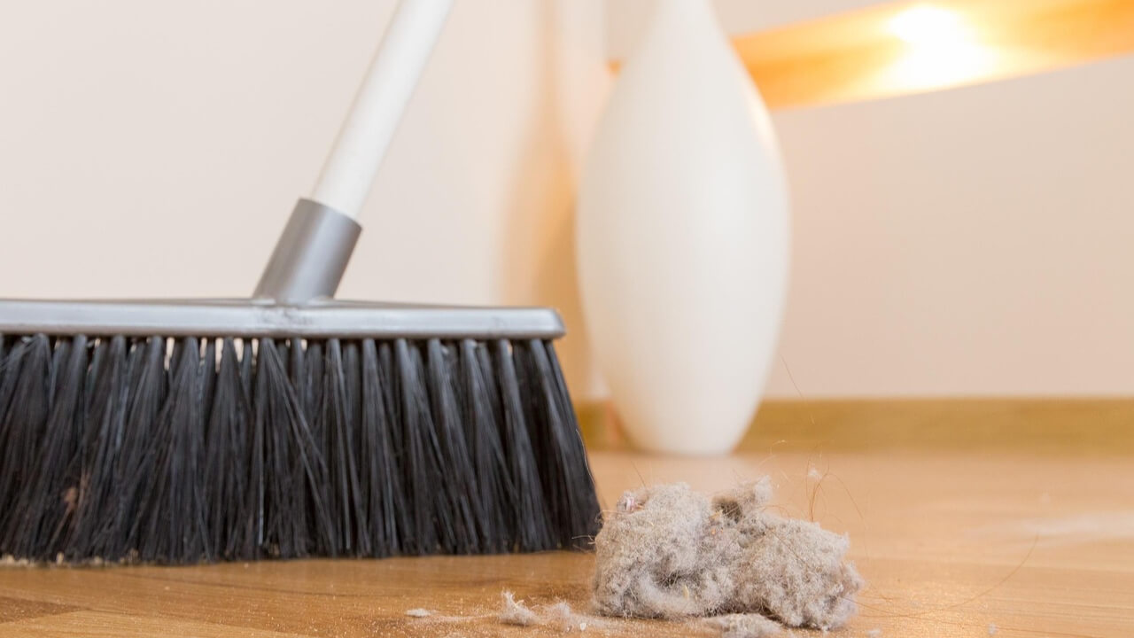 allclean-rengoering-virksomhed(1)